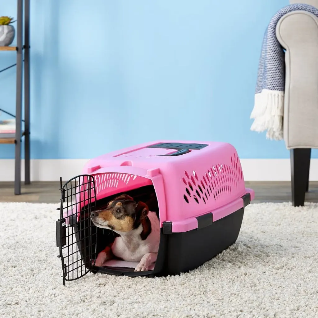 Aspen Pet Fashion Dog & Cat Kennel, Dark Pink & Black (23 inches)