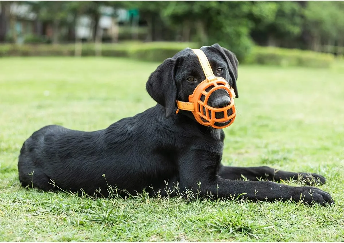 BARKLESS Dog Muzzle, Soft Silicone Basket Muzzle for Dogs, Allows Panting and Drinking, Prevents Unwanted Barking Biting and Chewing, Included Collar and Training Guide