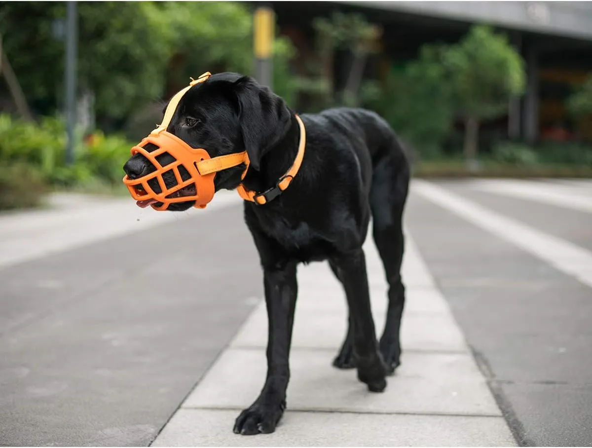 BARKLESS Dog Muzzle, Soft Silicone Basket Muzzle for Dogs, Allows Panting and Drinking, Prevents Unwanted Barking Biting and Chewing, Included Collar and Training Guide