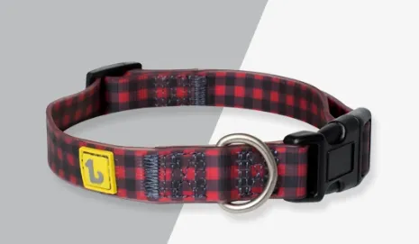 BeOneBreed Silicone Collar