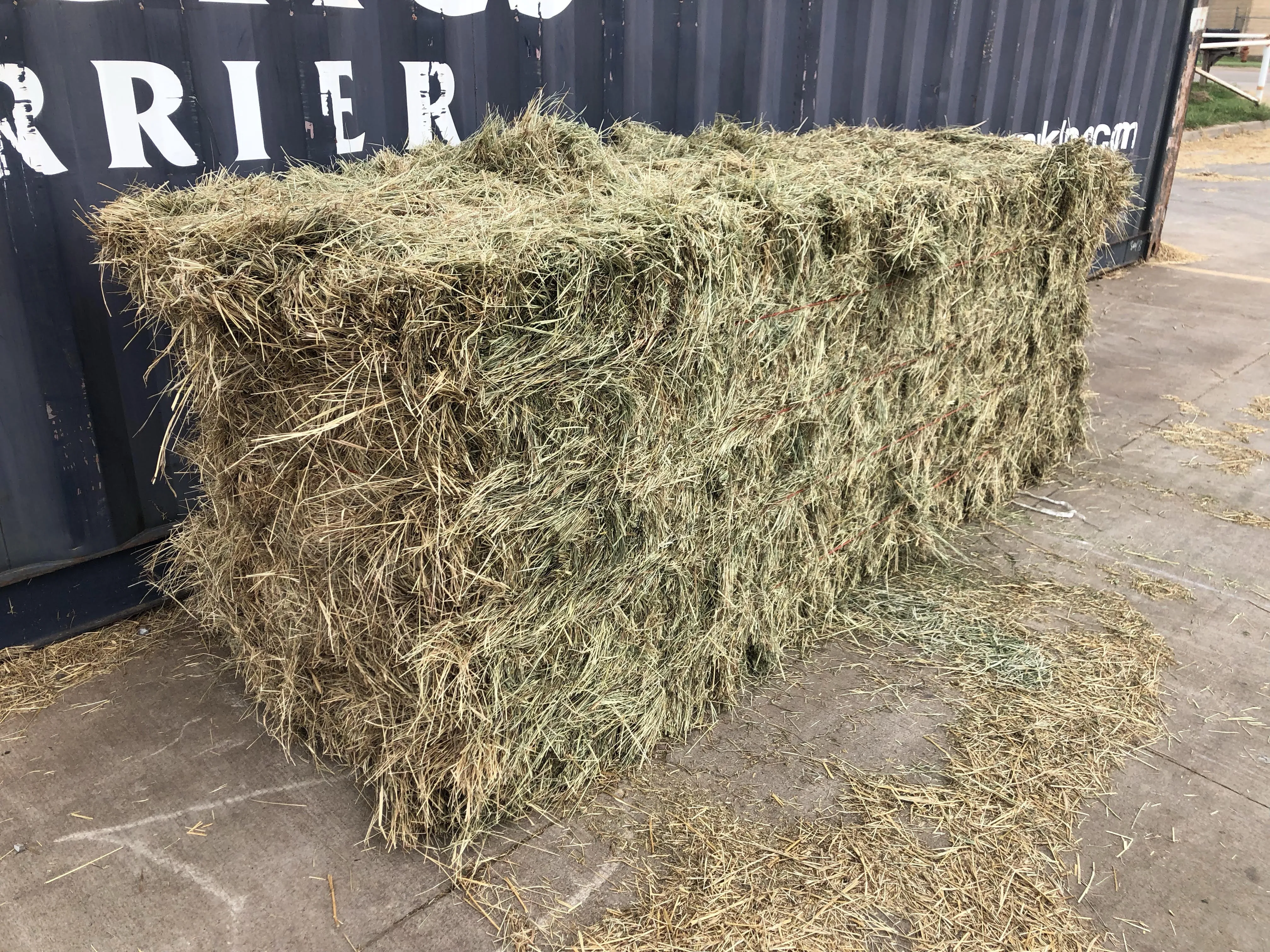 Bermuda Midsize (Store Pickup Only)