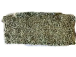 Bermuda Midsize (Store Pickup Only)