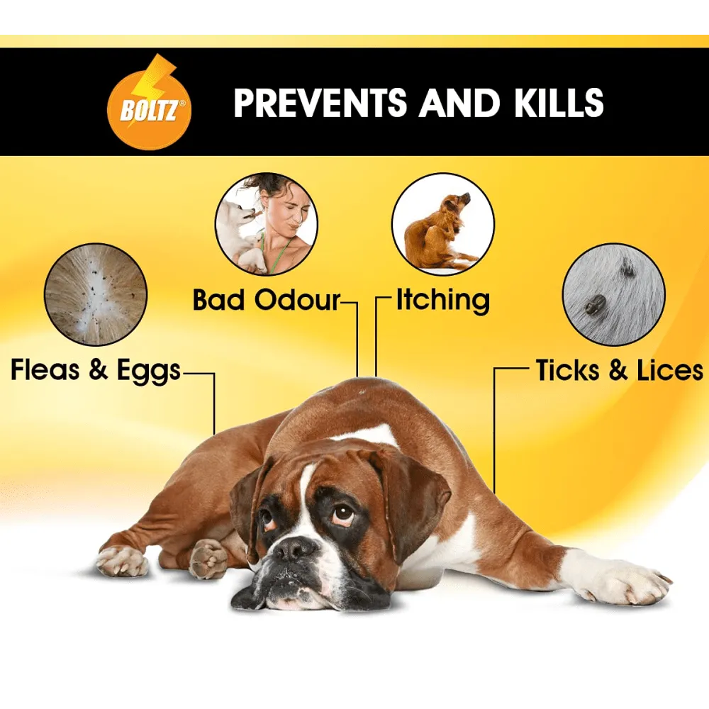Boltz Anti Tick & Flea Shampoo with Brush for Dogs