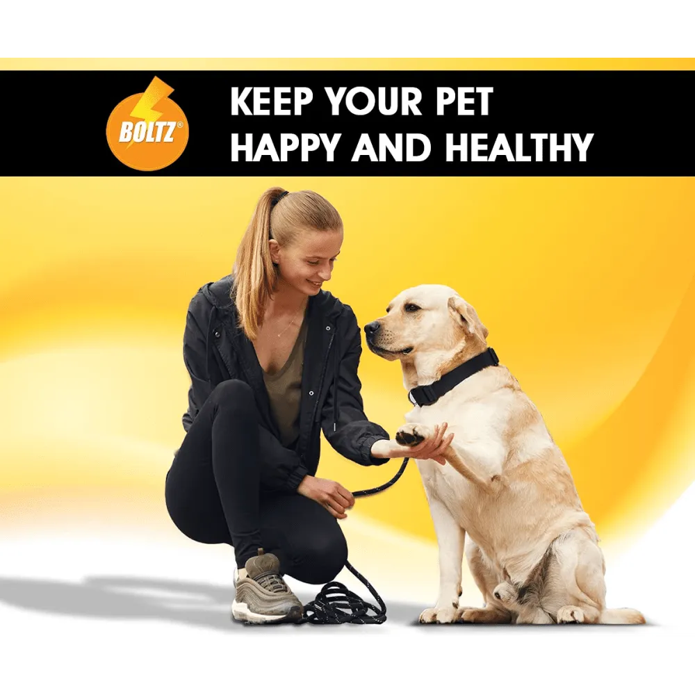 Boltz Anti Tick & Flea Shampoo with Brush for Dogs