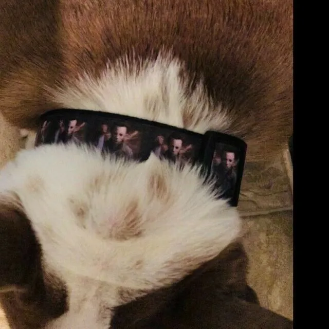 Bride of Frankenstein dog collar handmade adjustable buckle 1"wide or leash Petcollarshandmade