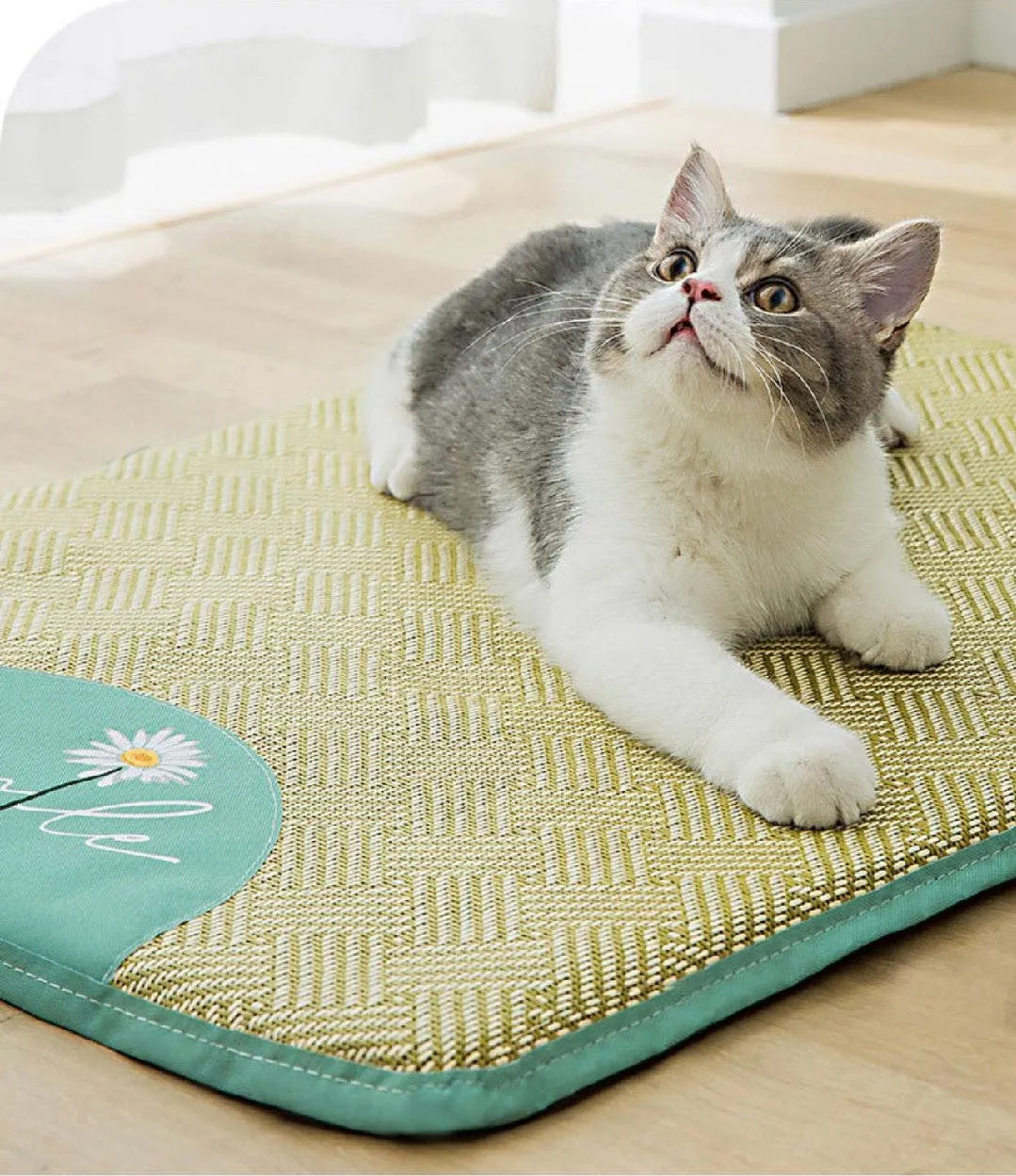 Cat and Dog Summer Cooling Bed, Daisy Flax Mat