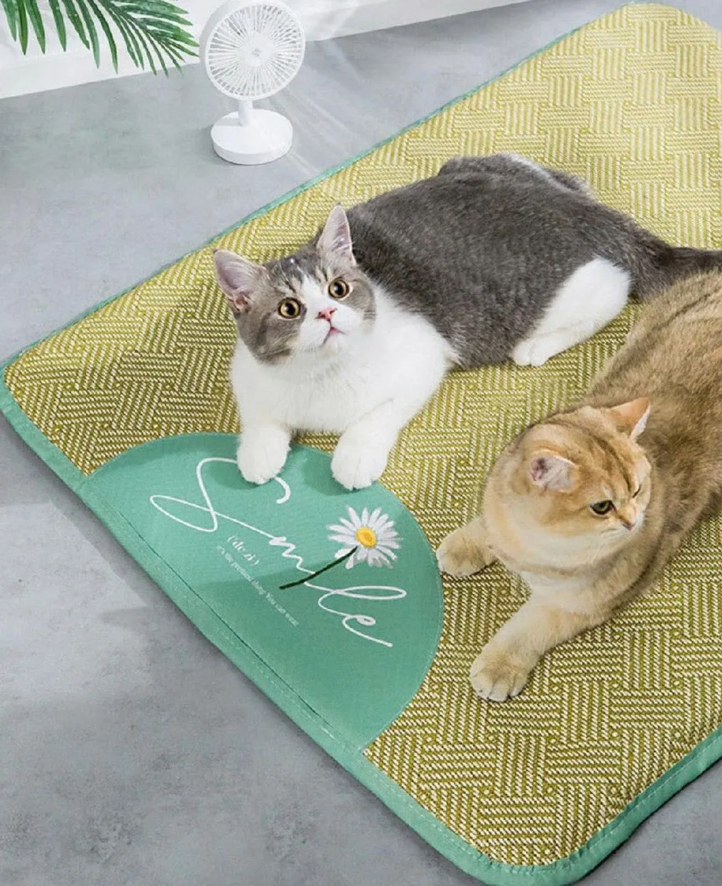 Cat and Dog Summer Cooling Bed, Daisy Flax Mat