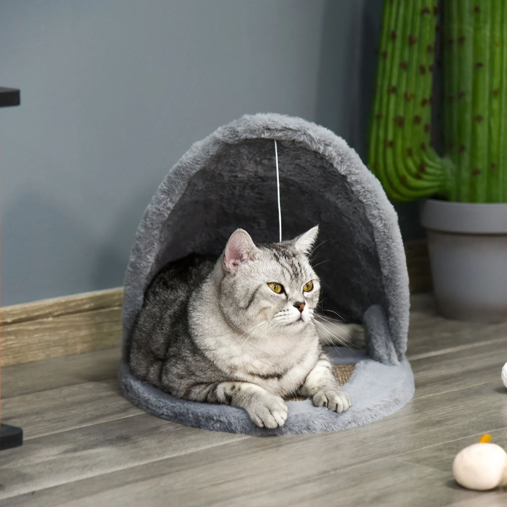 Cat Bed