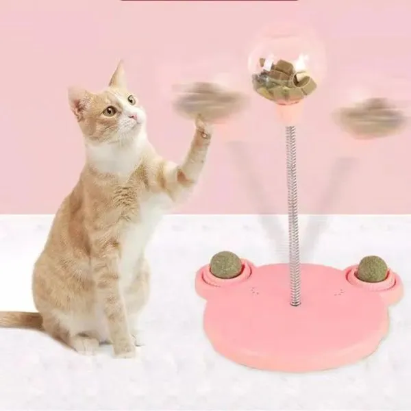 Cat Funny Game