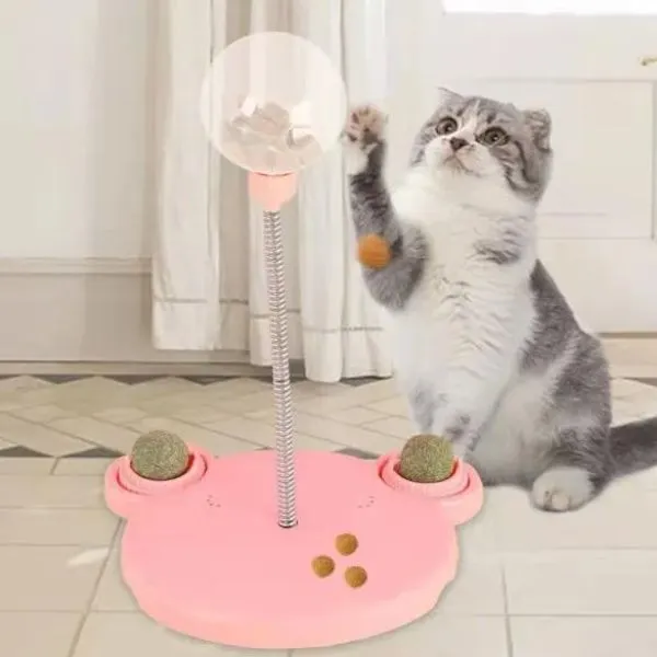 Cat Funny Game