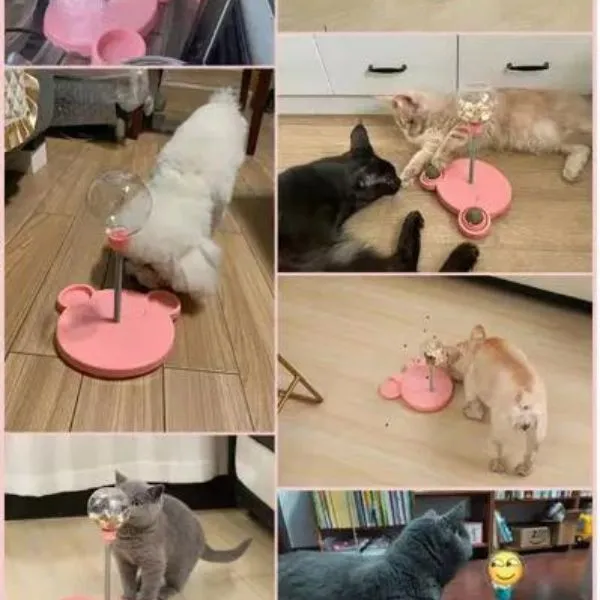 Cat Funny Game