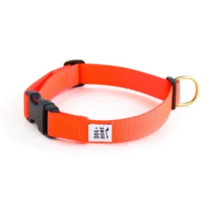 Dog Bone Adjustable Snap Collar Lava Orange