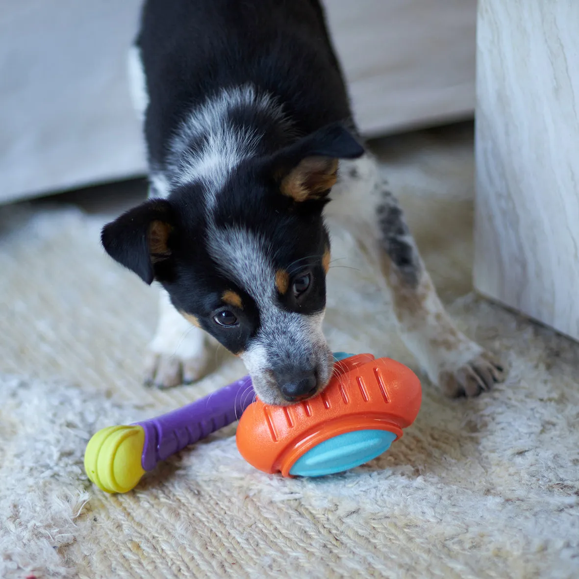 Extreme Play Dog Tough Footy Ball - Medium