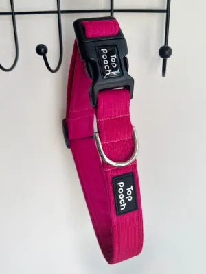 Fuchsia Corduroy Dog Collar