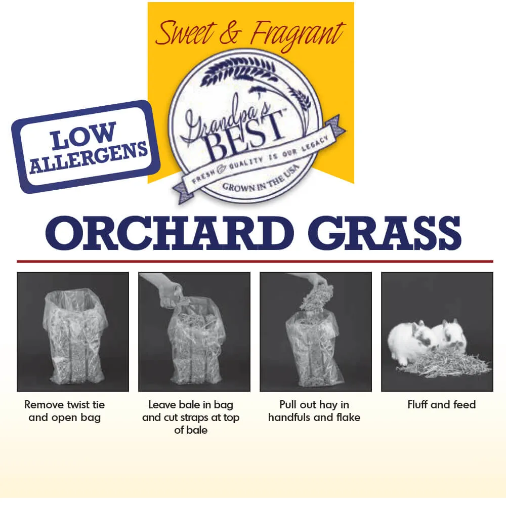 Grandpa's Best Orchard Grass Bale