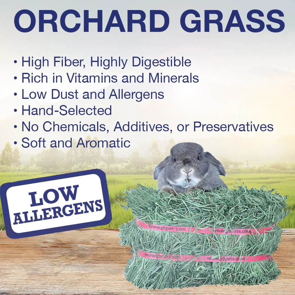 Grandpa's Best Orchard Grass Bale