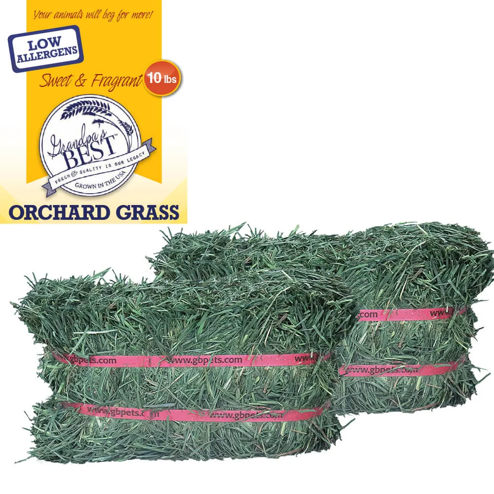 Grandpa's Best Orchard Grass Bale
