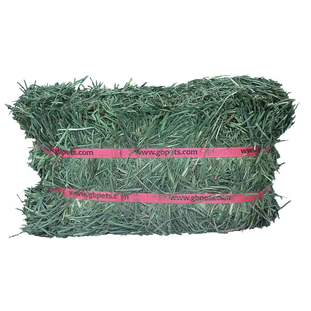 Grandpa's Best Orchard Grass Bale