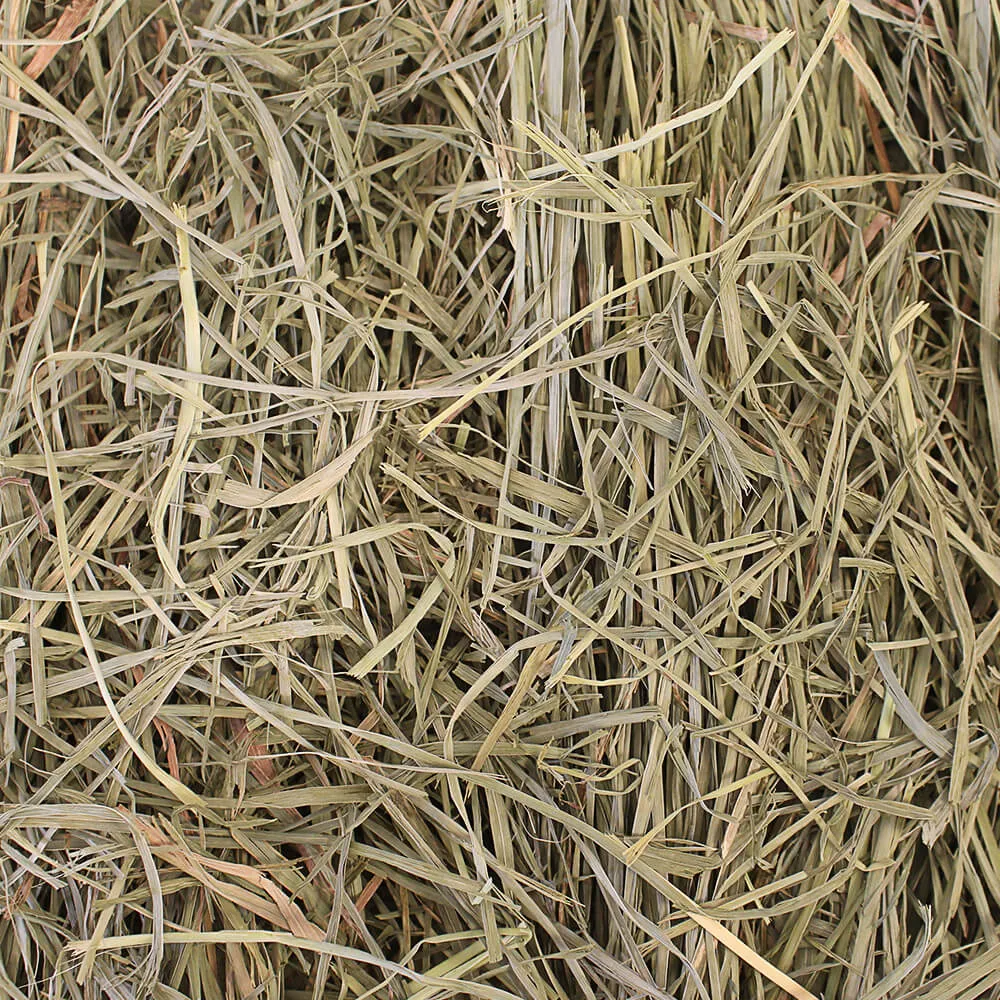 Grandpa's Best Orchard Grass Loose Boxed Hay