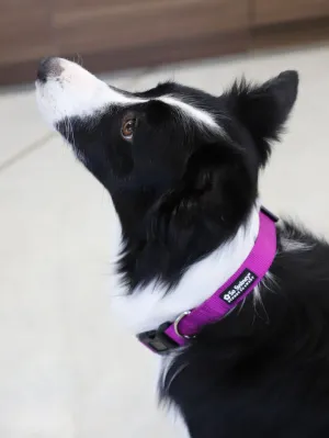 Grape Purple Adjustable Fashion Nylon Dog Collar