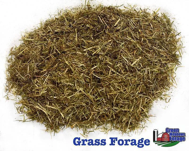 Green Meadows Grass Forage