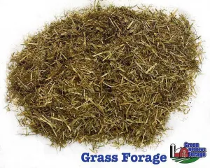 Green Meadows Grass Forage