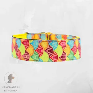 Handmade Dog Collar | Spring Colours | Width: 15-20-25-30-40 mm