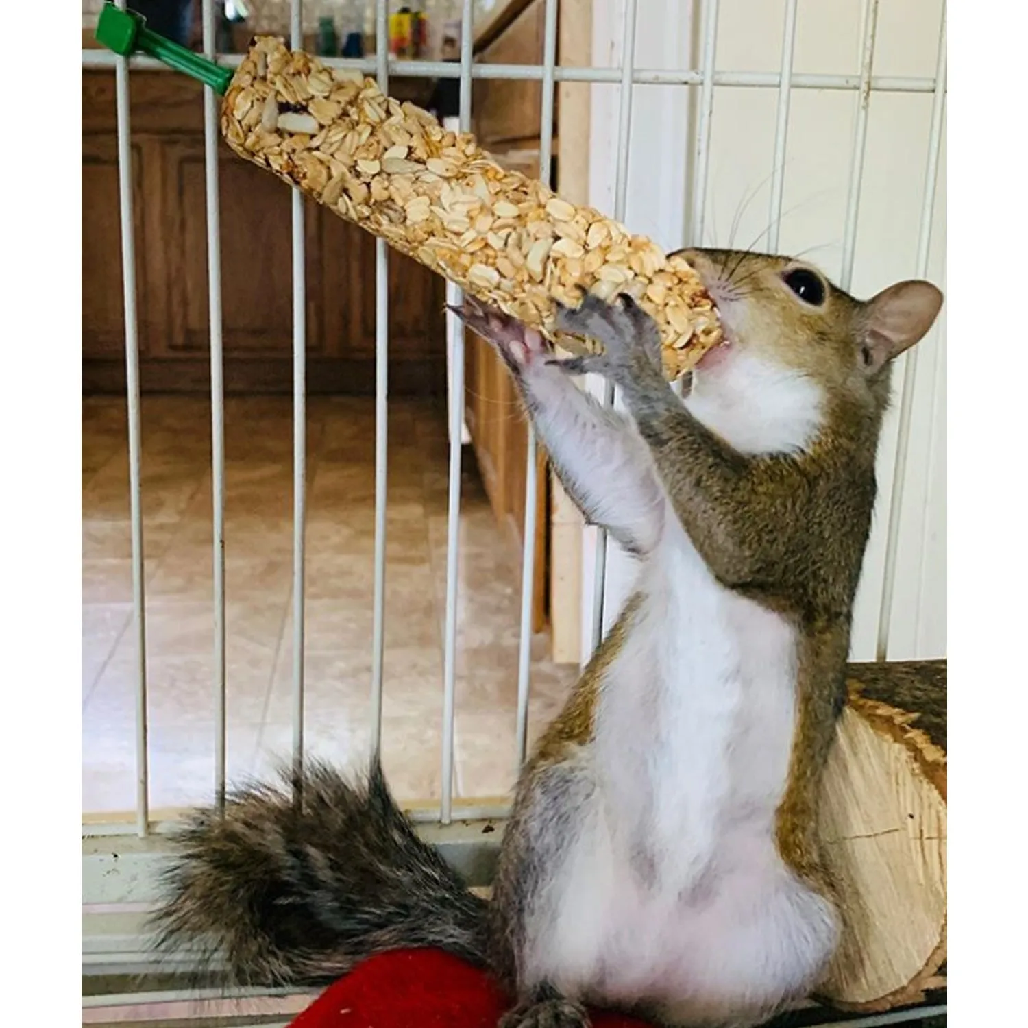 Herbivore Sticks