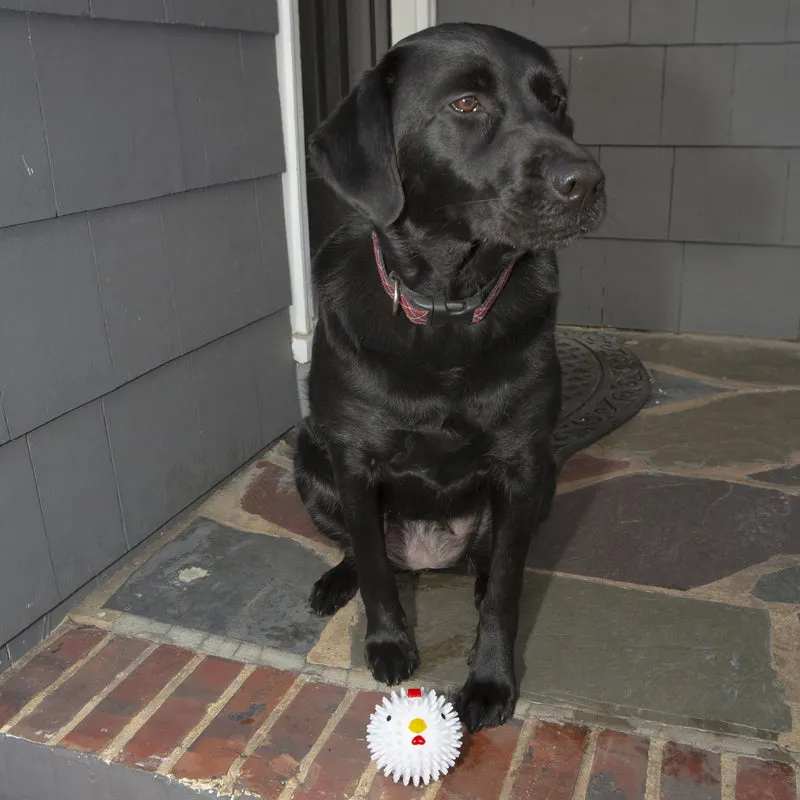 Kikkerland - Chicken Dog Ball