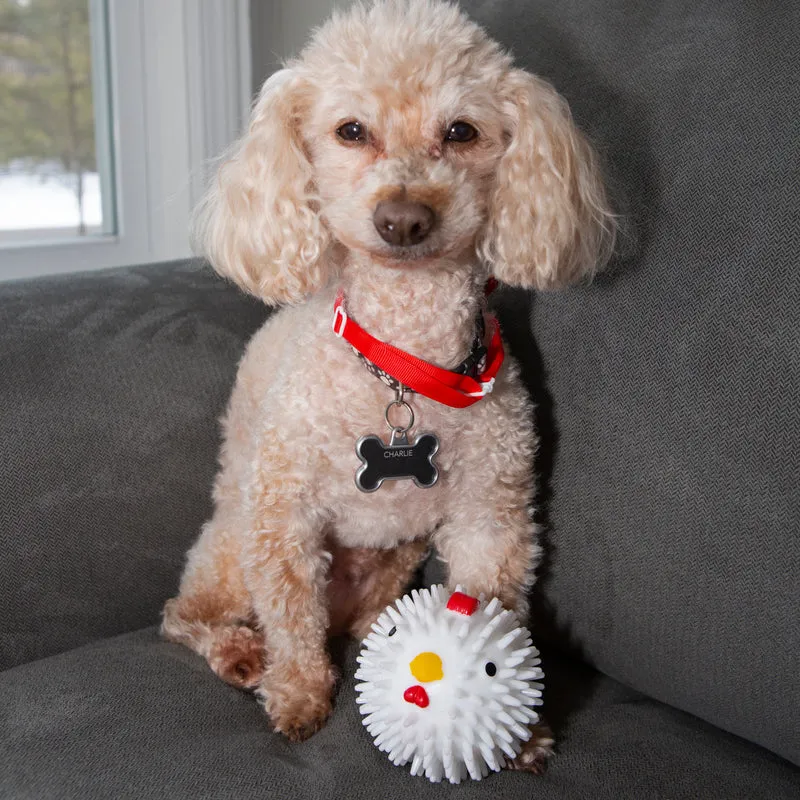 Kikkerland - Chicken Dog Ball