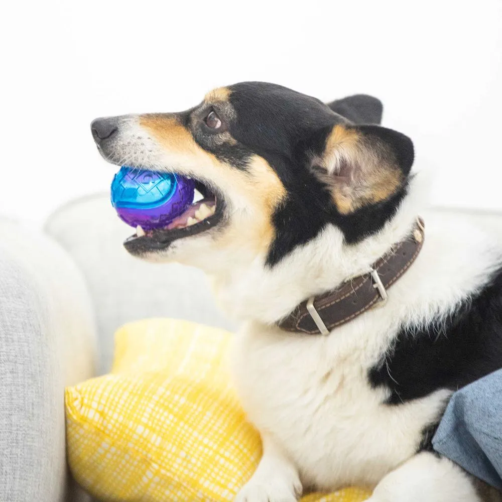 KOHE-VERSARY 8% OFF: GiGwi Squeaky Ball Dog Toy (Purple/Blue)