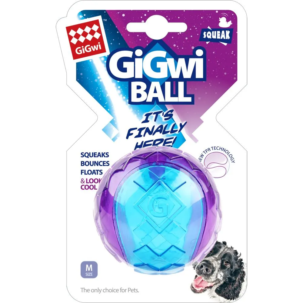 KOHE-VERSARY 8% OFF: GiGwi Squeaky Ball Dog Toy (Purple/Blue)
