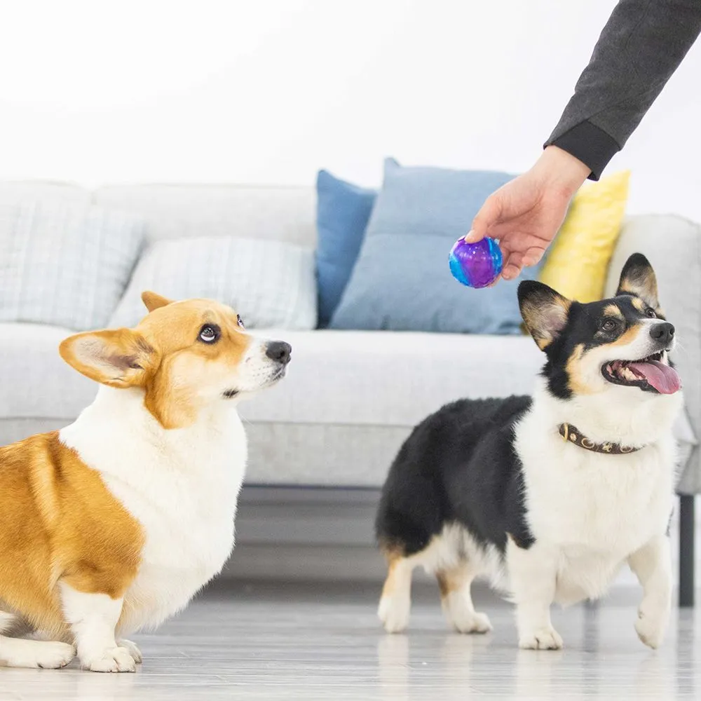 KOHE-VERSARY 8% OFF: GiGwi Squeaky Ball Dog Toy (Purple/Blue)