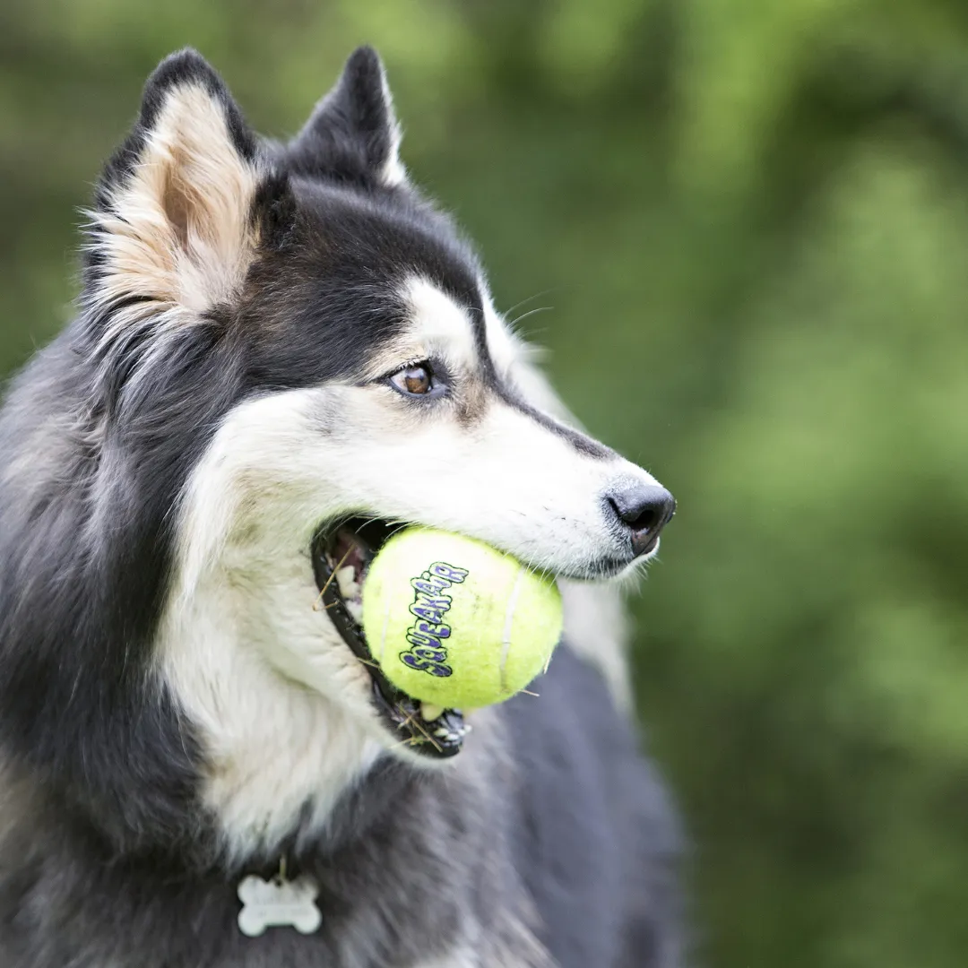 Kong Air Tennis Ball S 3 Pack