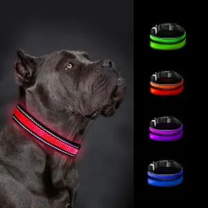 LED Dog Collar - Rechargeable USB Light Up Dog Collar - Waterproof, Multi-Mode Flashing Dog Collar (X-Small, Red)