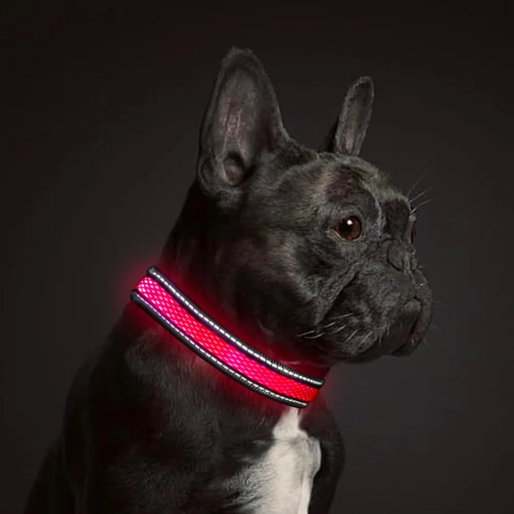 LED Dog Collar - Rechargeable USB Light Up Dog Collar - Waterproof, Multi-Mode Flashing Dog Collar (X-Small, Red)