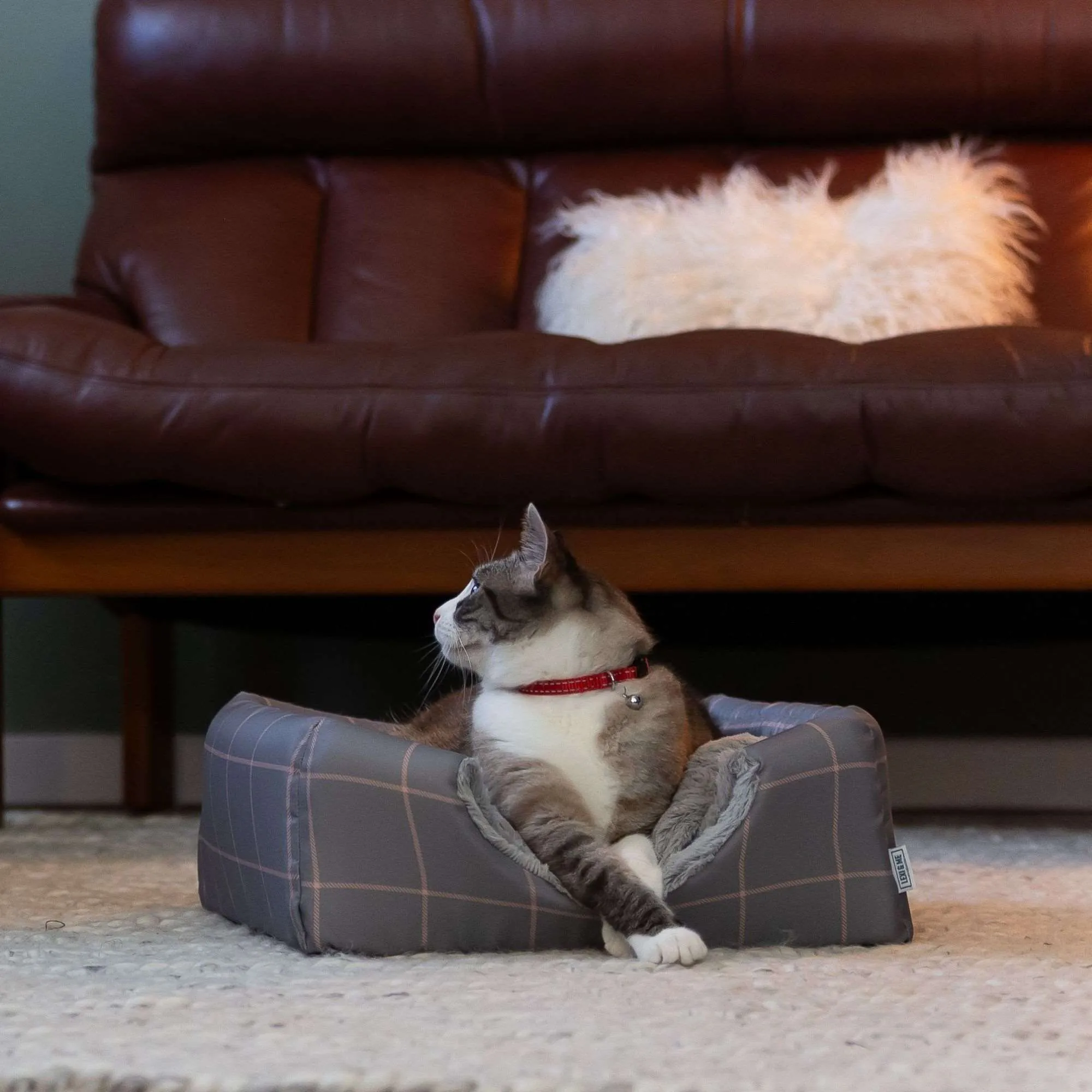 Lexi & Me Cat Cave Mist Grey Check