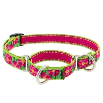 Lupine Pet Petunias Dog Collars