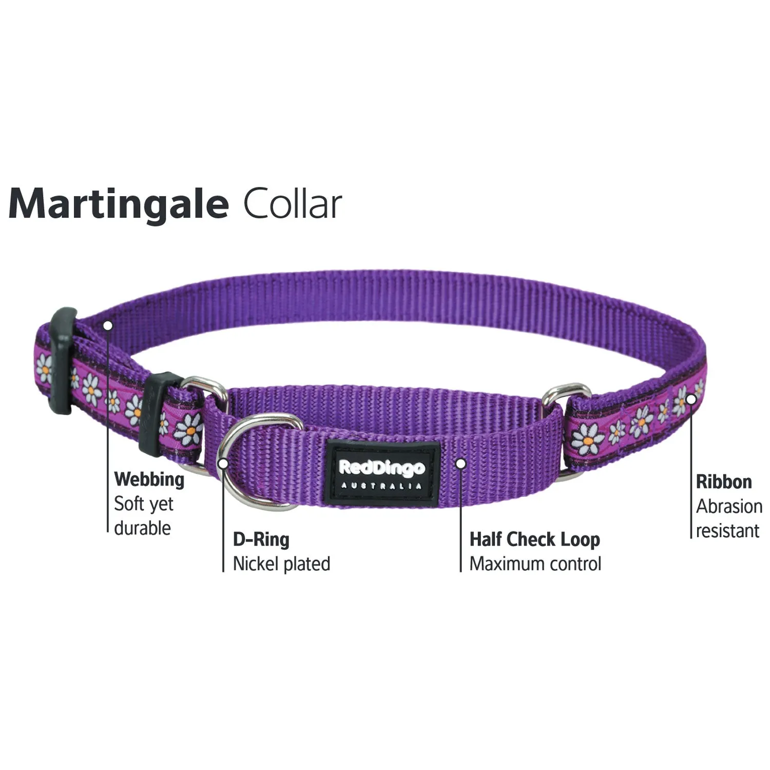 Martingale Cosmo Dark Blue Collar