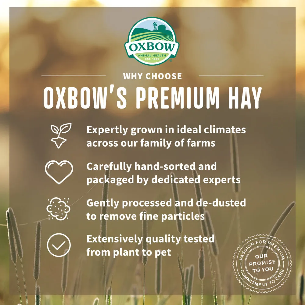 Oxbow Animal Health Orchard All Natural Grass Hay for Chinchillas Rabbits Guinea Pigs Hamsters & Gerbils