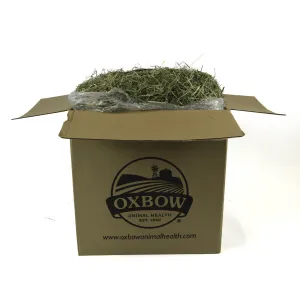 Oxbow Animal Health Orchard Grass Hay 50#