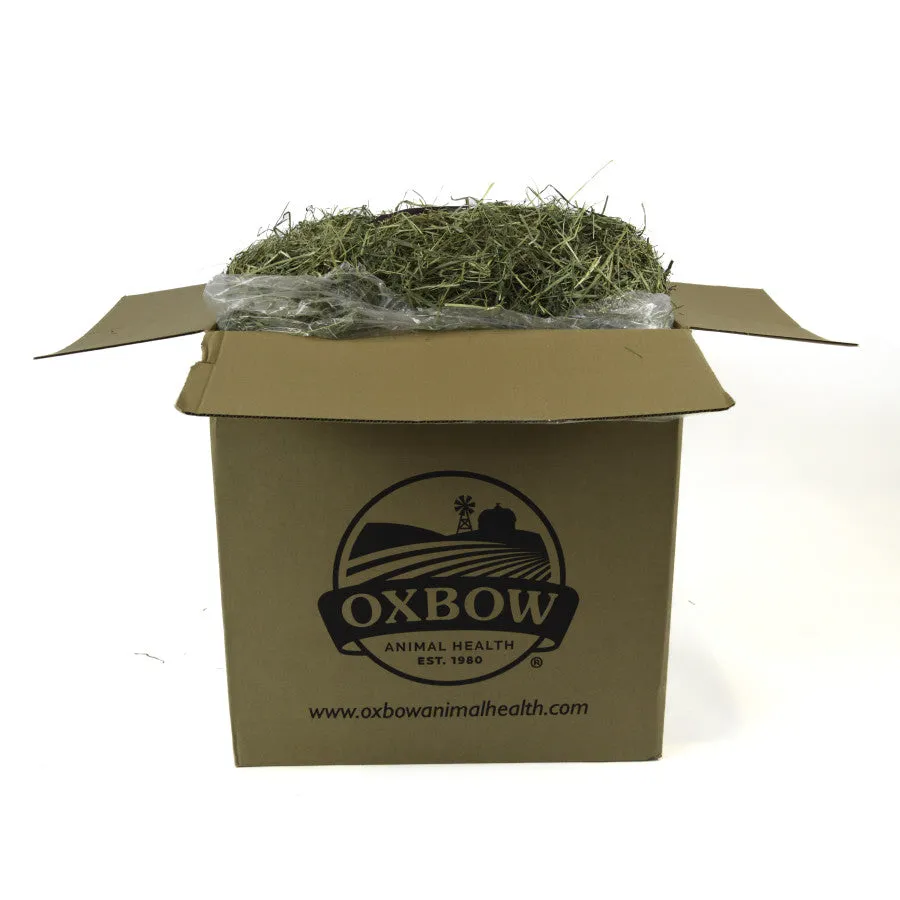 Oxbow Animal Health Orchard Grass Hay 50#