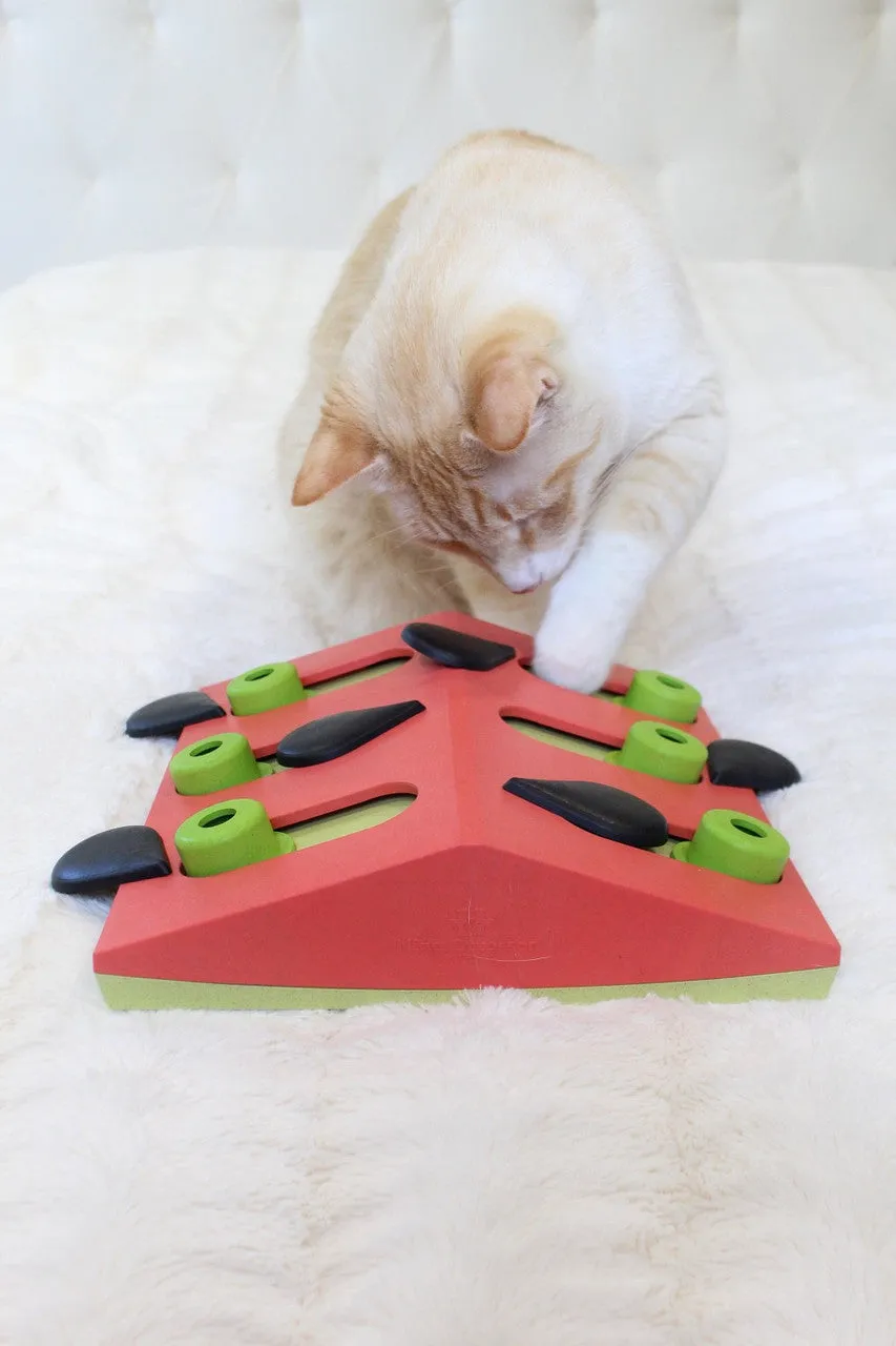 Petstages Melon Madness Puzzle & Play Cat Toy