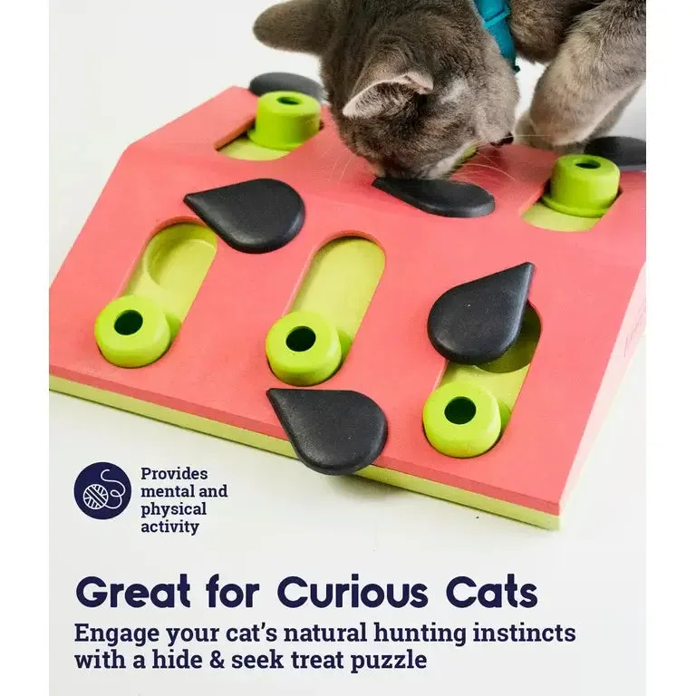 Petstages Melon Madness Puzzle & Play, Cat Toy
