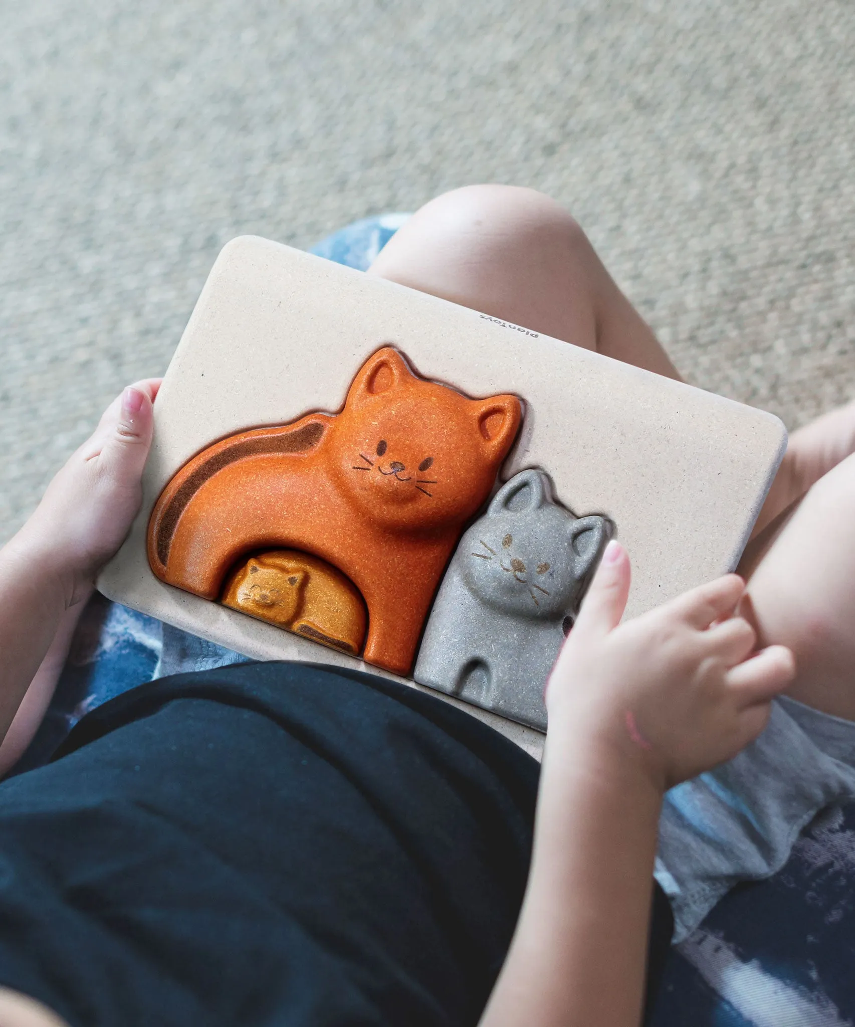 PlanToys Cat Puzzle