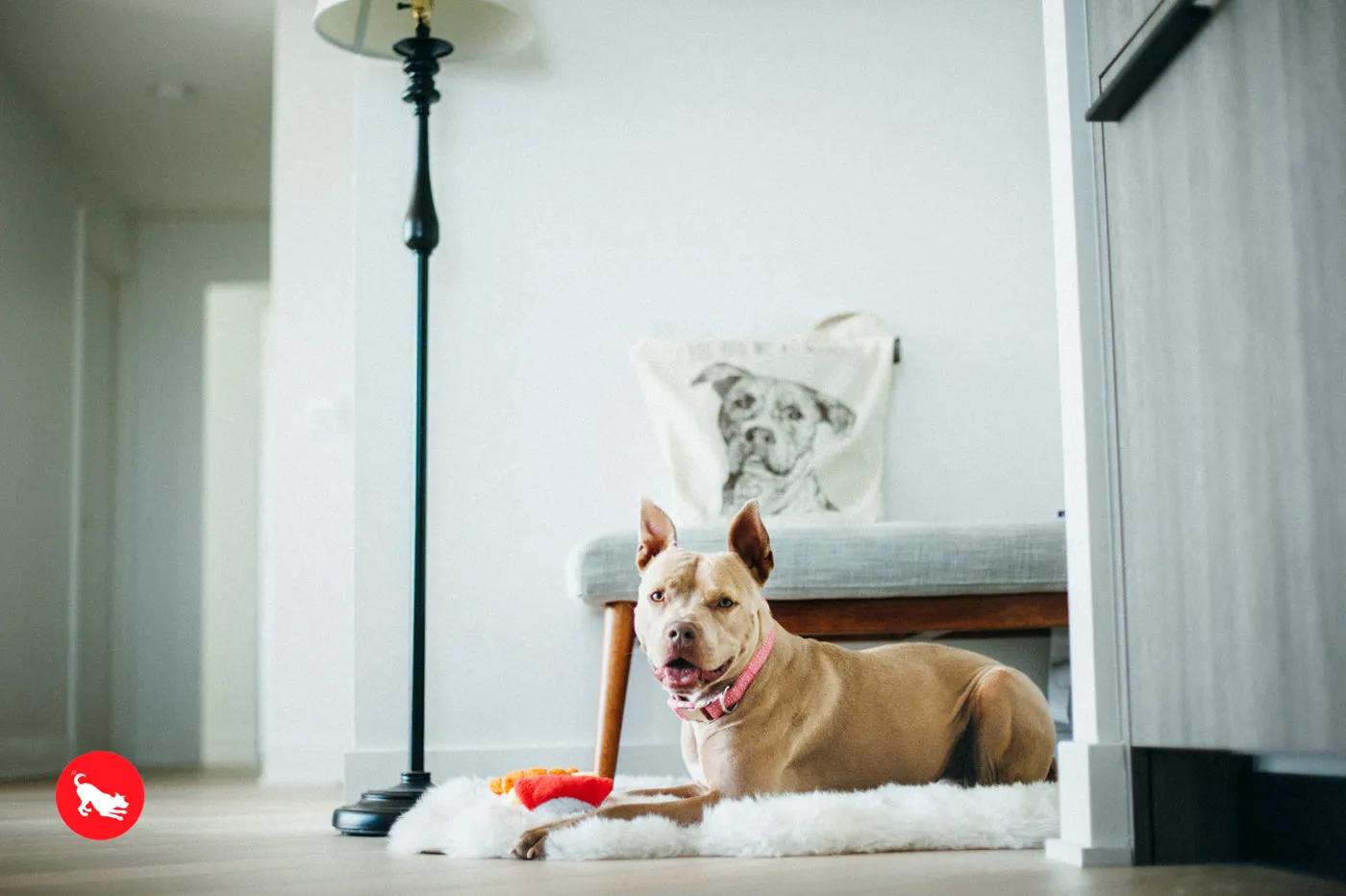 P.L.A.Y. Best in Show Totes: Mutt