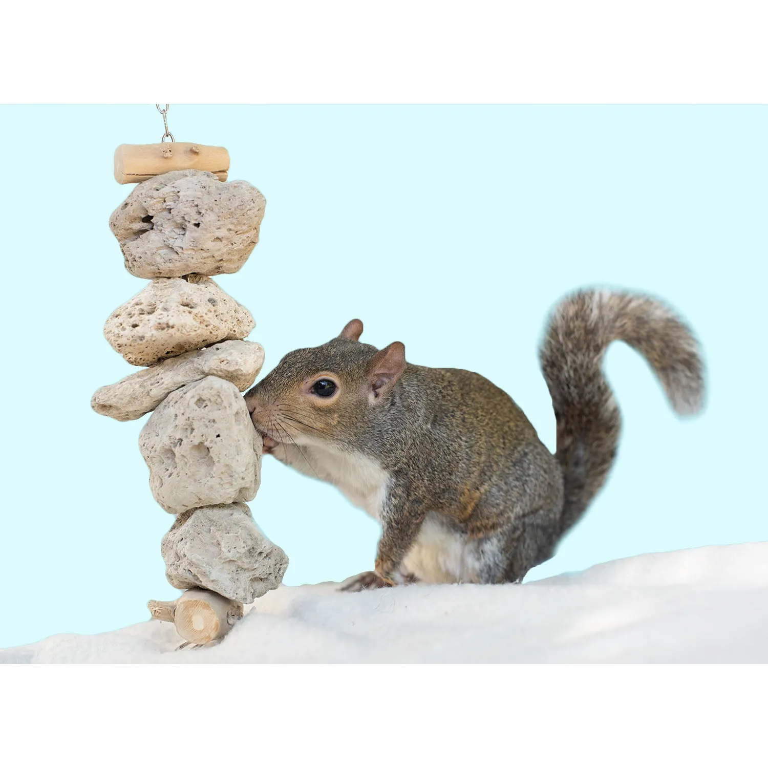 Pumice Chew Dangle