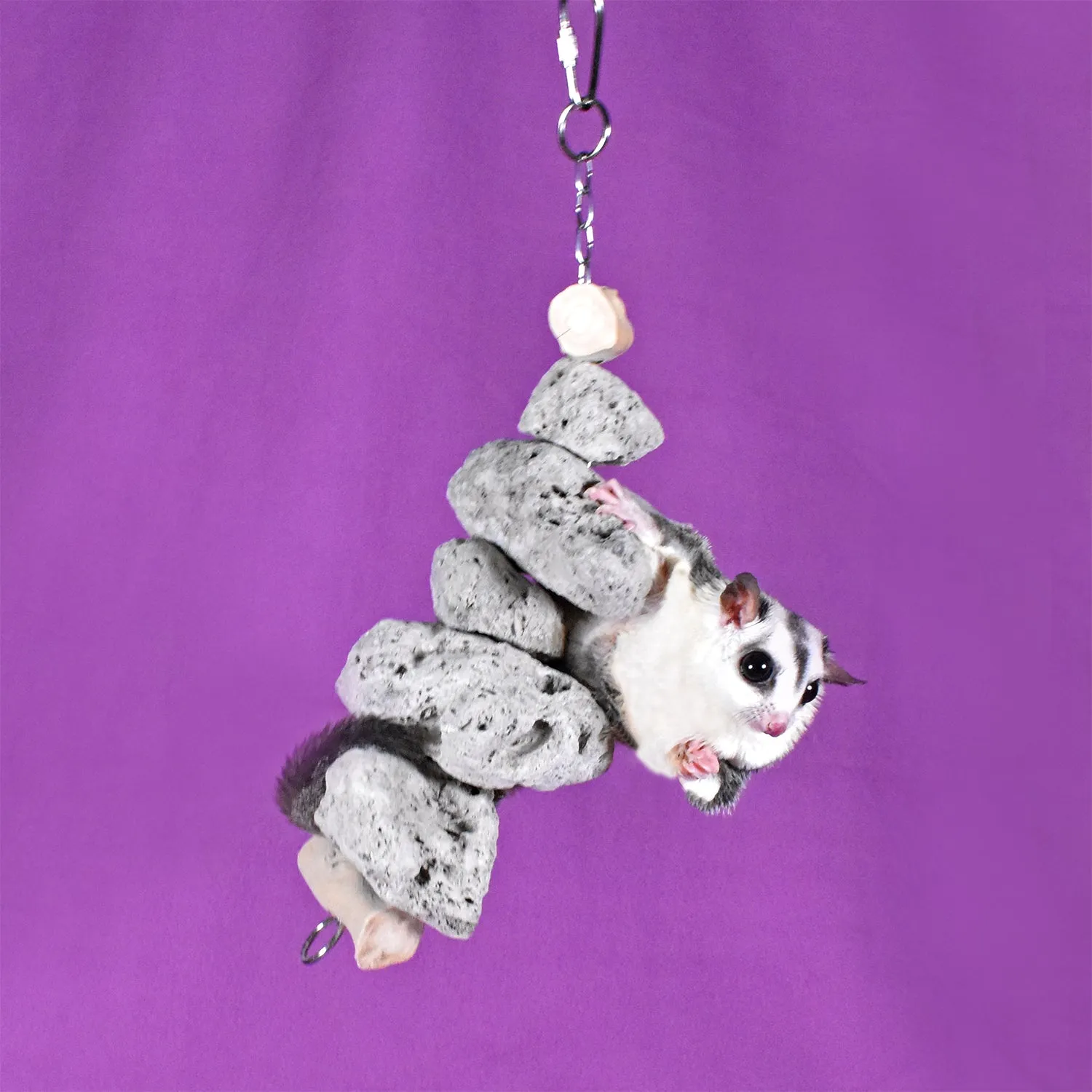 Pumice Chew Dangle