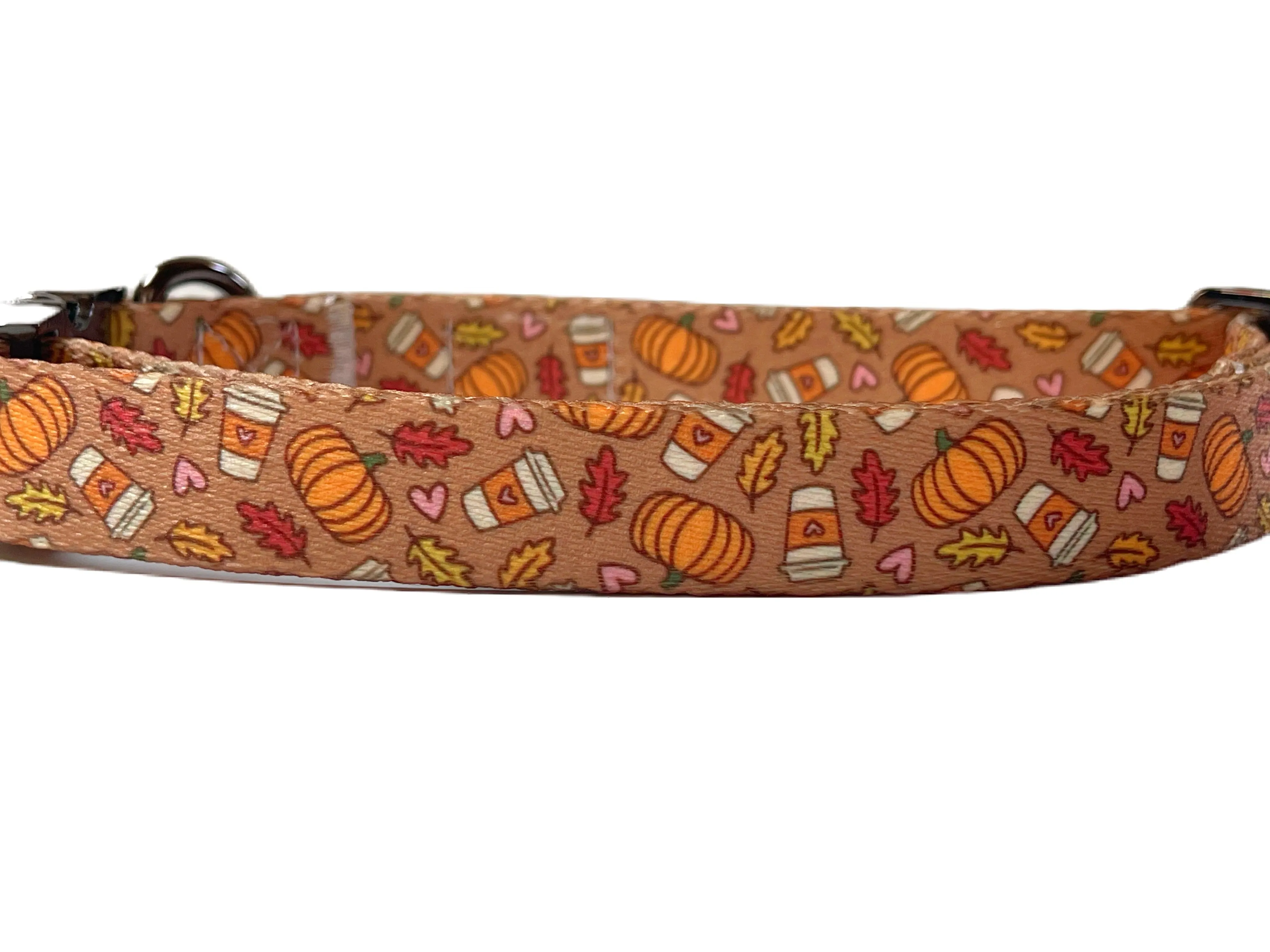 Pumpkin Spice - Recycled Eco-Friendly Collar & Leash
