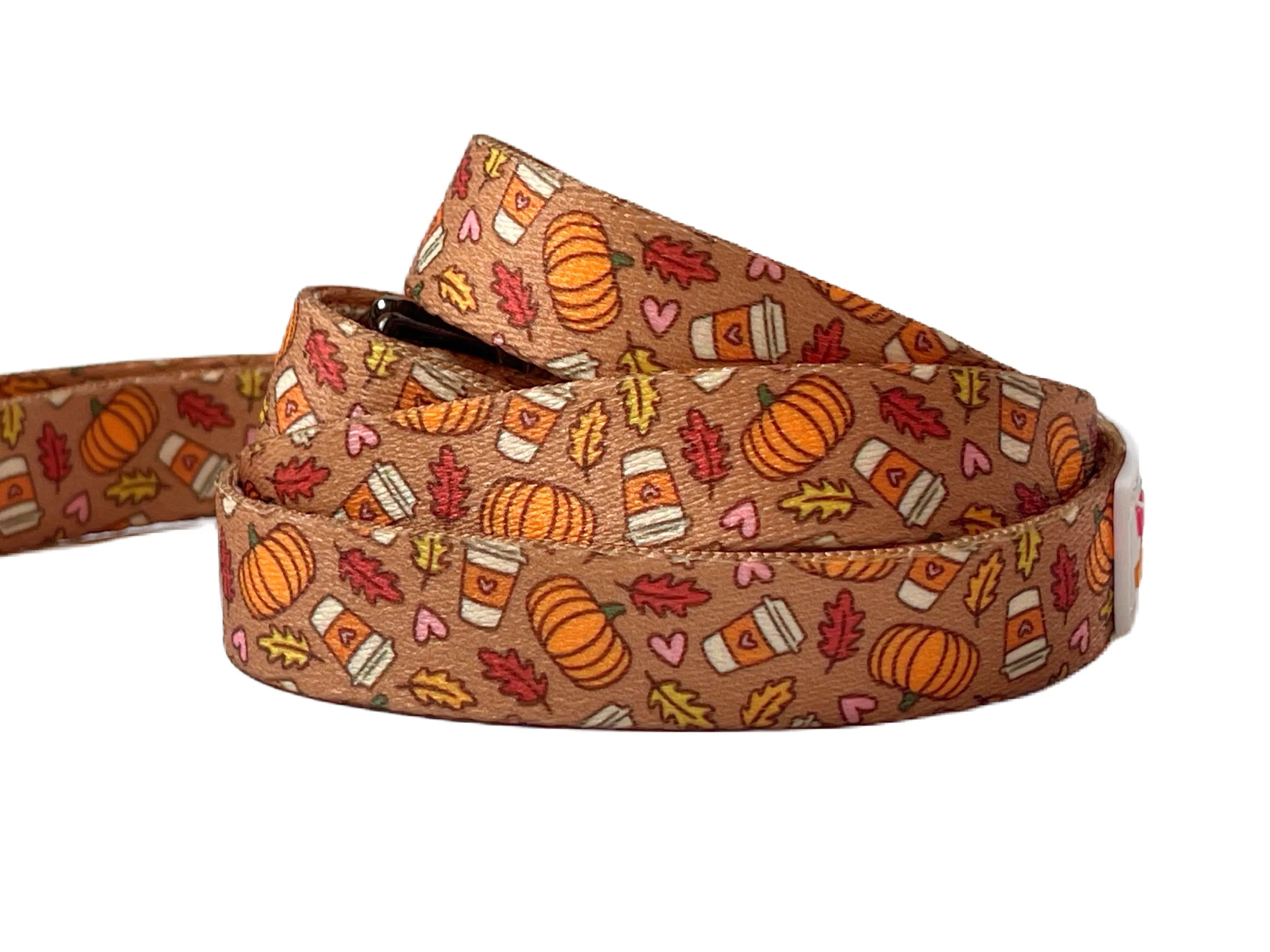 Pumpkin Spice - Recycled Eco-Friendly Collar & Leash